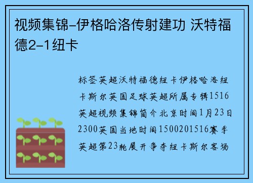 视频集锦-伊格哈洛传射建功 沃特福德2-1纽卡